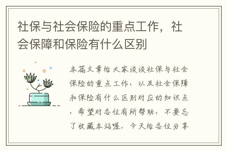 社保与社会保险的重点工作，社会保障和保险有什么区别