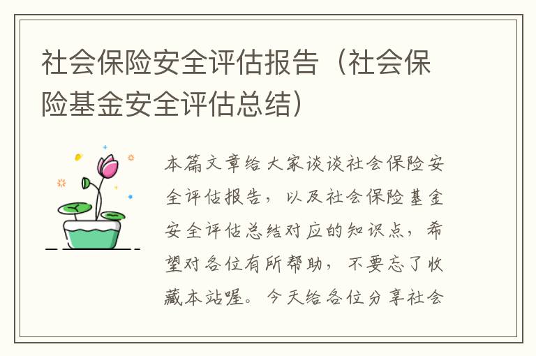 社会保险安全评估报告（社会保险基金安全评估总结）