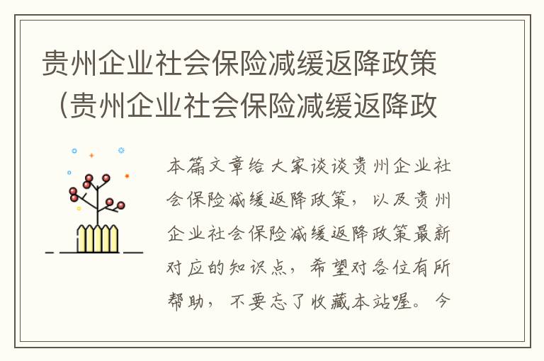 贵州企业社会保险减缓返降政策（贵州企业社会保险减缓返降政策最新）