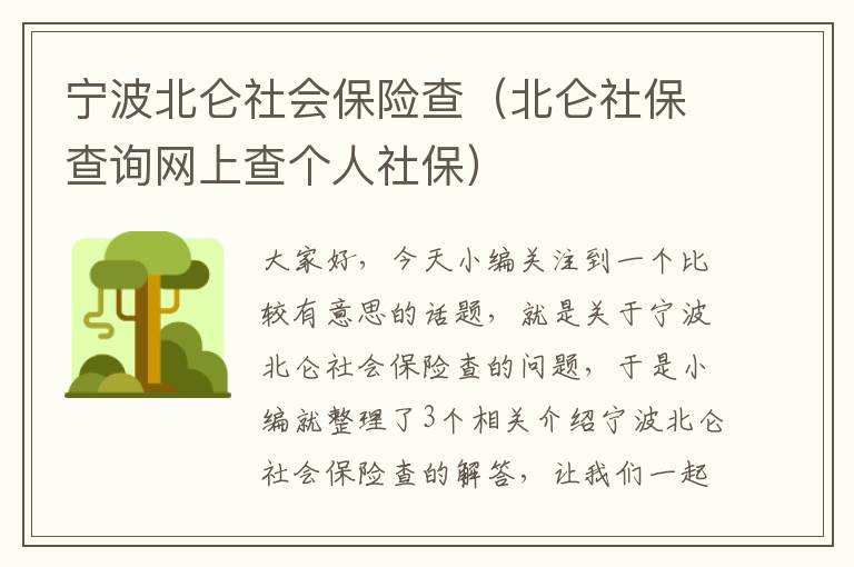 宁波北仑社会保险查（北仑社保查询网上查个人社保）