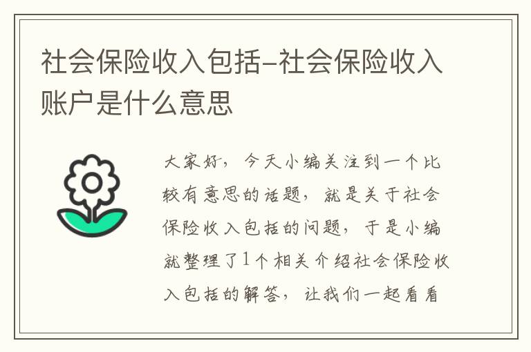 社会保险收入包括-社会保险收入账户是什么意思