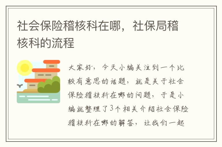 社会保险稽核科在哪，社保局稽核科的流程