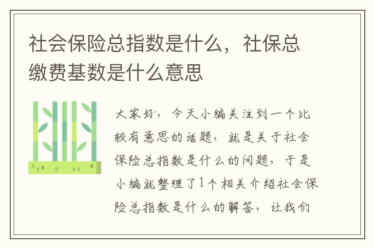 社会保险总指数是什么，社保总缴费基数是什么意思