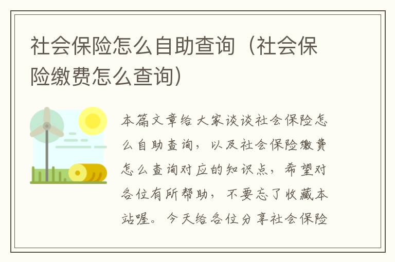 社会保险怎么自助查询（社会保险缴费怎么查询）