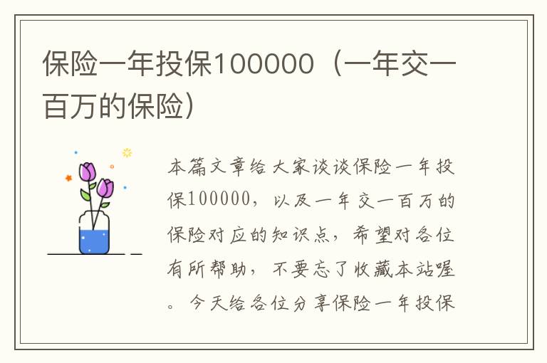 保险一年投保100000（一年交一百万的保险）