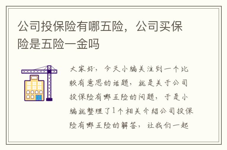 公司投保险有哪五险，公司买保险是五险一金吗