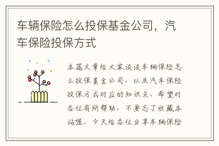 车辆保险怎么投保基金公司，汽车保险投保方式