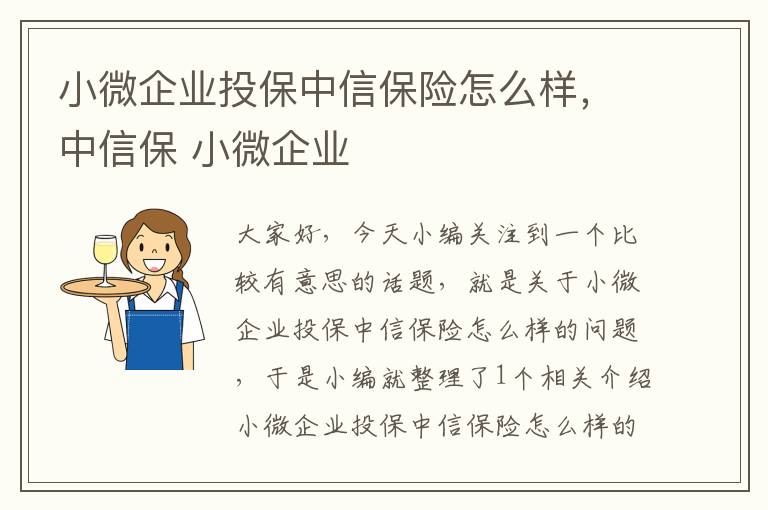 小微企业投保中信保险怎么样，中信保 小微企业