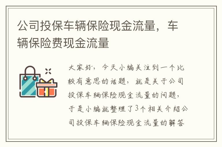 公司投保车辆保险现金流量，车辆保险费现金流量