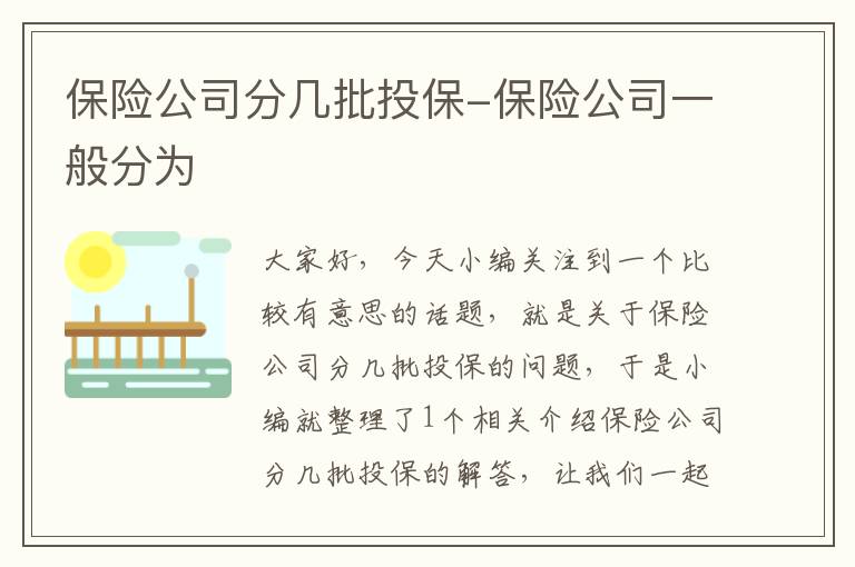 保险公司分几批投保-保险公司一般分为