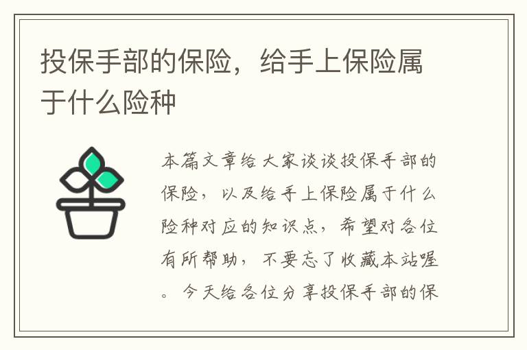 投保手部的保险，给手上保险属于什么险种