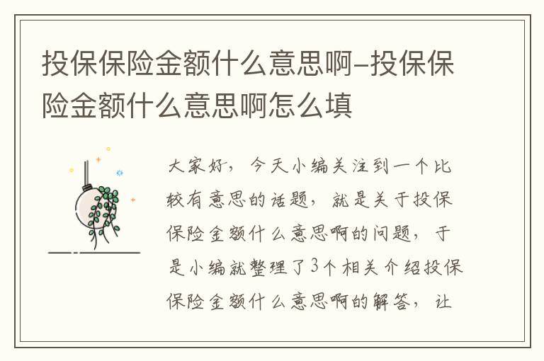 投保保险金额什么意思啊-投保保险金额什么意思啊怎么填